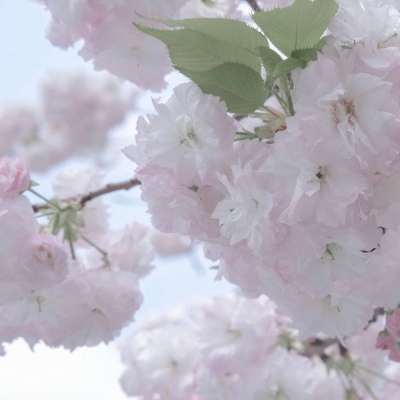 原创Furry角色设计思路福瑞交流群